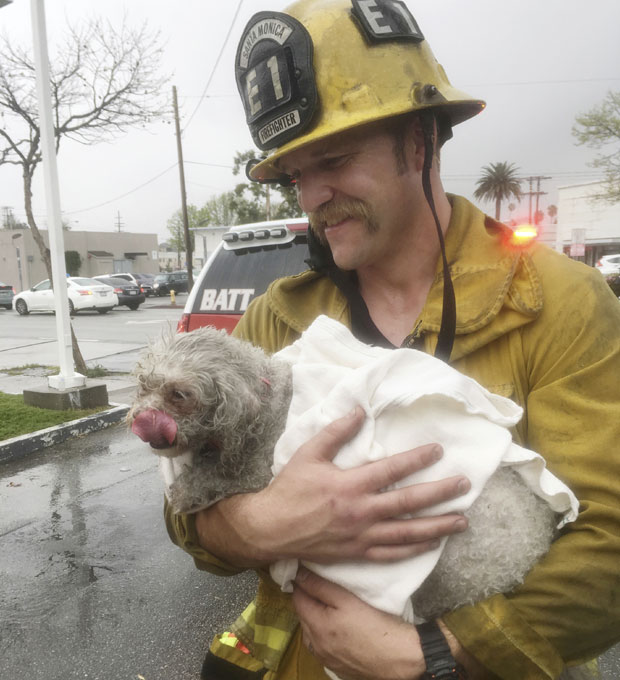 Ватрогасац псу дао вештачко дисање како би га спасао!(ФОТО)